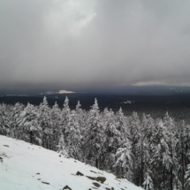 2013-02-17 12.22.19