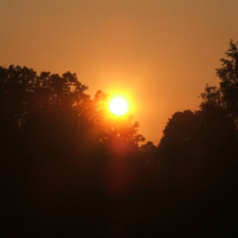 DSCF3470_1